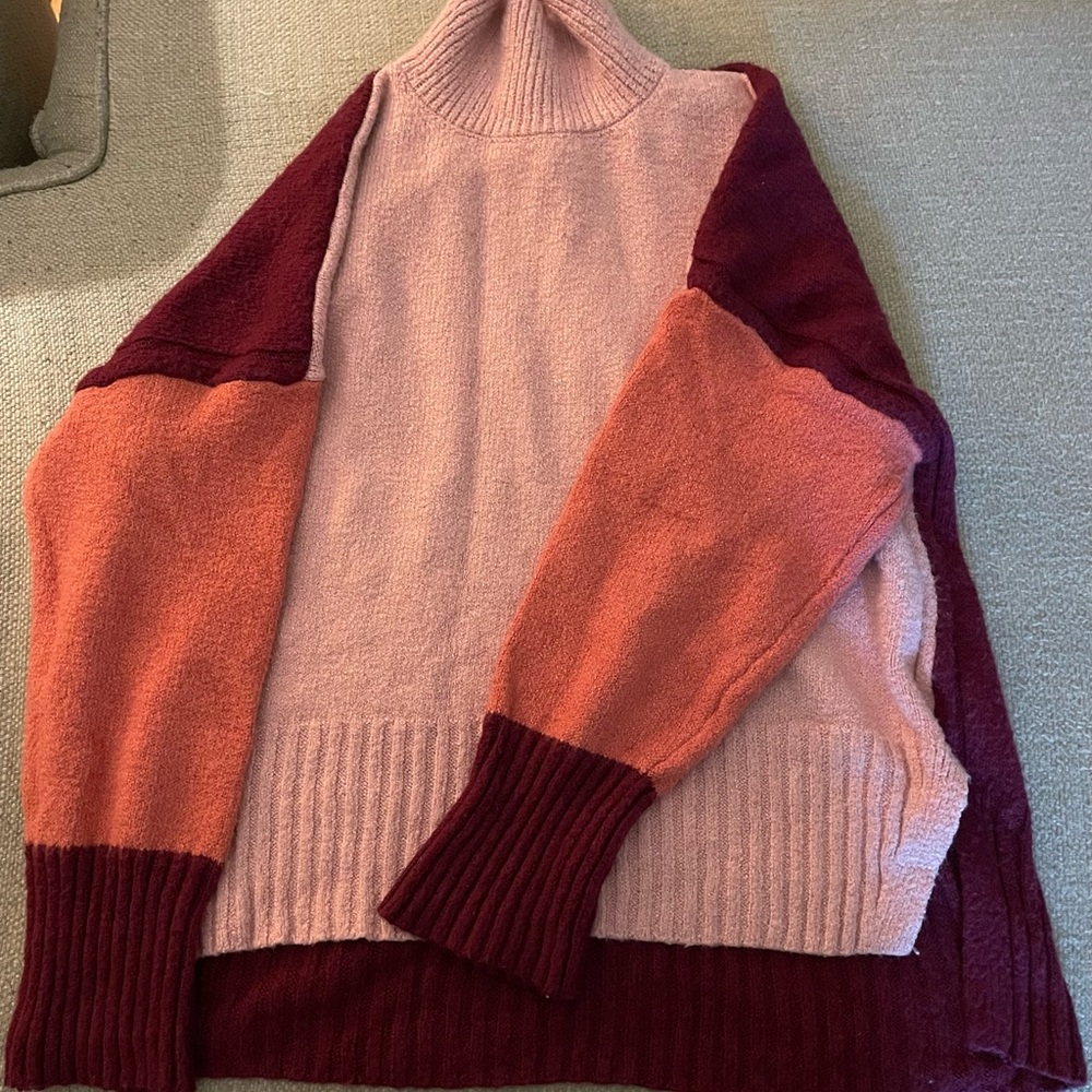 Time and Tru color block sweater.